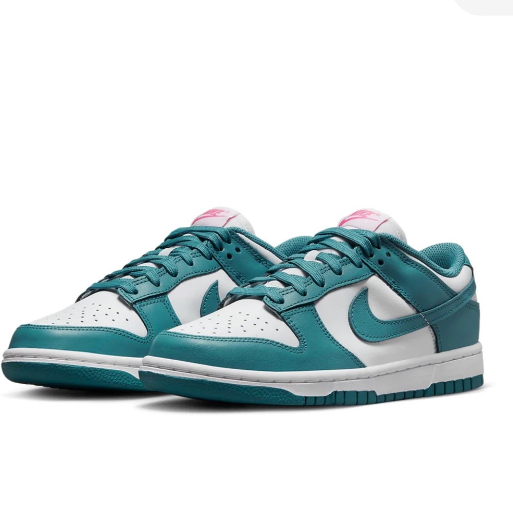 Women’s nike dunk